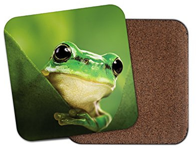 1 x Funny Green Frog Cork Backed Drinks Coaster - Frogs Kids Toad #8229