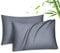 Fittia Ensemble de taies d’Oreiller en Tissu 100% Bambou Lyocell comme de la Soie Naturelle en Couleur Grise foncée avec la Taille 40x60cm