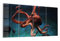 DEQORI Glasbilder Echtglas | Motiv Oktopus im Wasser | horizontal 4-teilig 120x60 cm | große XXL Deko | Wandbilder für Wohnzimmer, Schlafzimmer, Flur & Küche | moderne Wanddeko