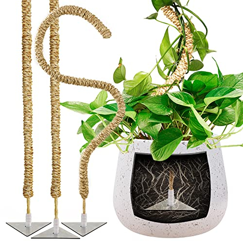 JonesHouseDeco Large Moss Pole, 3-Pack 1m biegsame Sisal Rope Stick für große Kletterpflanzen nach Oben wachsen. Handgemachte Pflanze Unterstützung, Zug Indoor-Topfpflanzen Monstera wachsen nach Oben