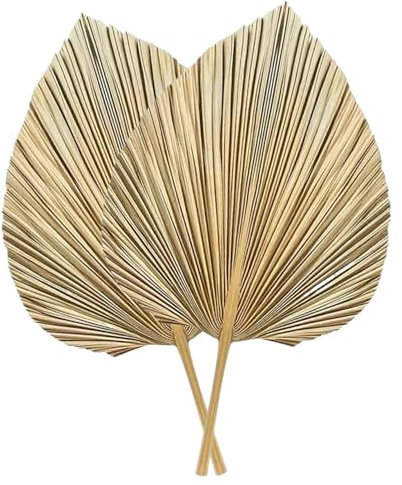 CUCUFA Feuilles de Palmier séchées, 2pcs Ventilateurs de Palmier séchés, Bouquet Fleurs 17, 7x9, 8 Pouces, Feuille Boho pour Le Mariage