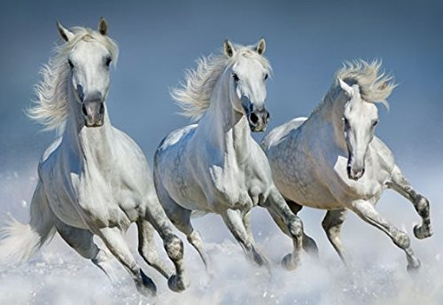 3 D Platzset weiße Pferde, 2erSet, Tischset, Tier Tiere, Pferd Pony