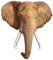 Madd Capp Shape Puzzle Elefant, Konturpuzzle 700 Teile, für Kinder und Erwachsene