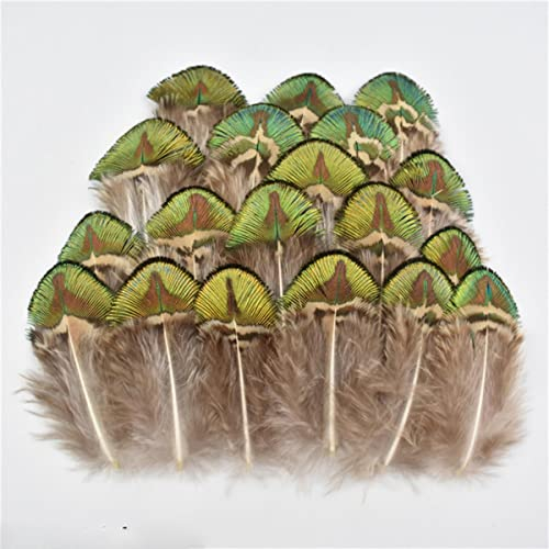 CTLH20 Natürliche Pfau-Fasan-Feder Kleine Gänse-Hähnchen-Federn Federn DIY Handwerk Party Hochzeit Accessoires Schmuck Deko-Größe 3–7 cm, 500 Stück