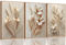 3Pcs Neutral Beige Floral Botanical Canvas Wall art Modern Simple Texture Flower Plant Painting Picture Wall Decor Vintage Blossom Poster Print Artwork for Living Room Bedroom Bathroom Unframed
