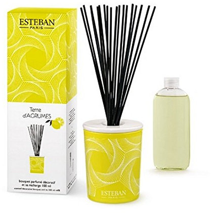 Esteban Paris – Bouquet parfumé déco Terre d'agrumes 100 ML (Bâtonnets et Recharge)