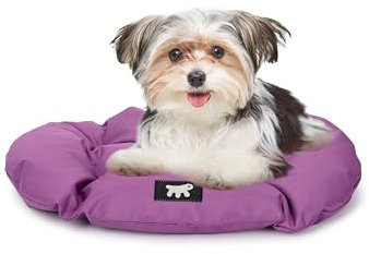 Ferplast Hundebett, Hundekissen für kleine Hunde, kratzfester Stoff, maschinenwaschbar bei 30°, wasserdichte Hundematte, 55 x 36 x 3 cm. Viola