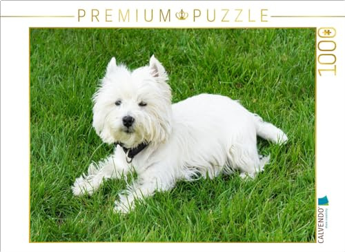 CALVENDO Puzzle Süßer West Highland White Terrier liegt im Gras | 1000 Teile Lege-Größe 64 x 48 cm Foto-Puzzle für glückliche Stunden