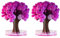 NOTRYA 2 Stück Magic Sakura Baum, Papier-Sakura-Kristallbäume,Magischer Sakura-Papierbaum DIY-Spaß, Magischer Wachsender Baum, Neuheiten Spielzeug Dekorationen