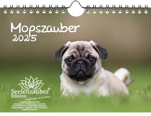 Mopszauber DIN A5 Wandkalender für 2025 Mops Hunde und Welpen - Geschenkset Inhalt: 1x Kalender, 1x Weihnachtskarte (insgesamt 2 Teile)