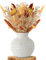 SPRINGSY Trockenblumen Deko - 50 Stück Pampasgras Getrocknet - Eleganter Trockenblumenstrauß für Vasen - Dried Flowers, Deko Blumen Ideal für Boho Wohnzimmer & Hochzeit