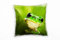 Paul Sinus Art Tiere, Macro, grün, hinter Blättern versteckter Frosch Deko Kissen 40x40cm für Couch Sofa Lounge Zierkissen - Dekoration zum Wohlfühlen