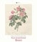 Kal. 2024 Botanisches Kabinett
