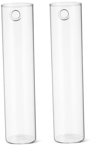 CIYODO Vases Muraux Cylindriques Affichage Clair Lot de 2 en Verre Transparent et Support pour Plantes Aquatiques pour Décoration Murale