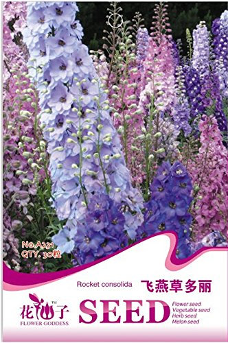 Delphinium Consolida Rakete Rittersporn Annual Blumensamen, Originalverpackung, 30 Samen / Pack, A231 Wild