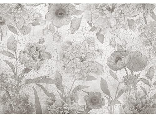 Runa Art Fototapete Blumen Pfingstrosen Betonwand Modern Vlies Wohnzimmer Schlafzimmer - Made in Germany - Schwarz Weiss 9417010c