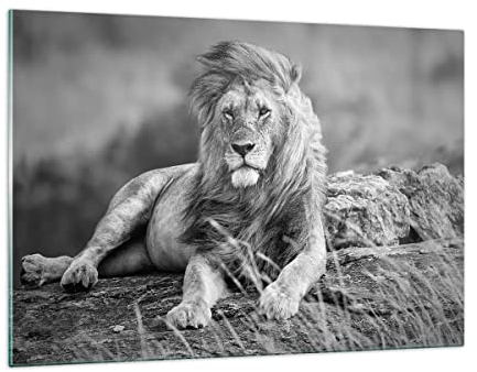 Wandbilder Dekoration Wohnzimmer Löwe Tier Natur Bilder auf Glas 120x80cm Glasbild Schlafzimmer Küche Deko Wand Kunstdruck Art Groß XXL Wanddeko Bild im Glas Modern Wall Decor Glasdruck GAA120x80-3931