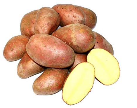 Kartoffel Laura halbmehlig vorw. festkochend (halbmehlig) rote Kartoffeln 1-25 Kg geeignet für Salz-, Pell-, Back- Folien- und Gratin-Kartoffel, optimal für selbstgemachte Pommes (25)