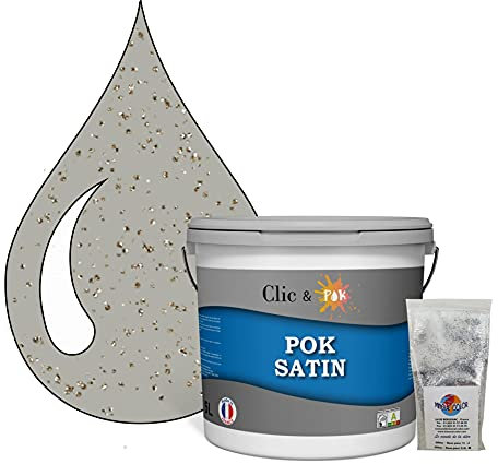 POK PAILLETTE : Peinture de Finition Acrylique Effet Pailleté Murs Intérieurs 5L - Aigle
