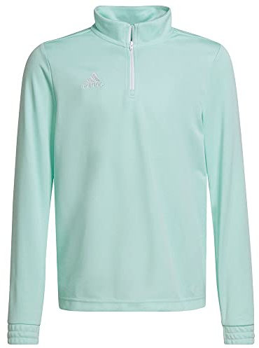 adidas Unisex Kids Entrada 22 Training Top, Clear Mint, 13-14 Years