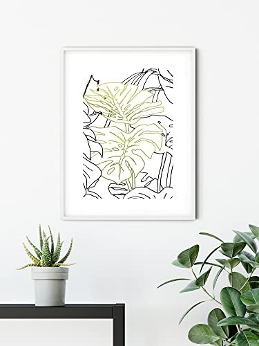 Komar Wandbild - Monstera Borsigiana - Größe: 50 x 70 cm - Poster, Kunstdruck, Dekoration, Wohnzimmer, Schlafzimmer (ohne Rahmen)