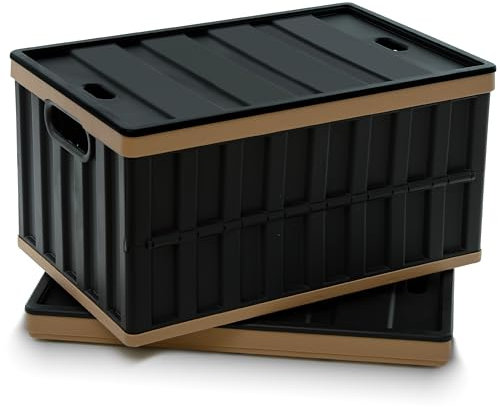 Citylife 2Pack 64L Collapsible Plastic Storage Box with Lids Outdoor Stackable Folding Large Storage Box Plastic Box with Lid for Book Camping Garage