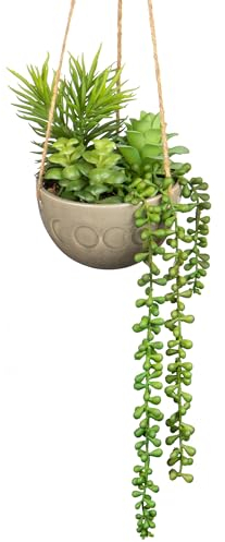 Hollyone Plantes artificielles à suspendre, plantes succulentes artificielles en pot avec cordes de chanvre, plantes rampantes décoratives d'intérieur et d'extérieur pour décoration d'intérieur,