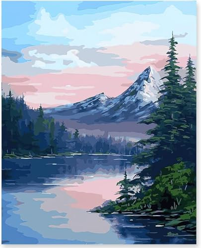 Kits de peinture par numéros pour adultes, kit de peinture à l'huile sur toile pour enfants ou débutants avec pinceaux acryliques pigments dessin peinture 50 x 40 cm sans cadre