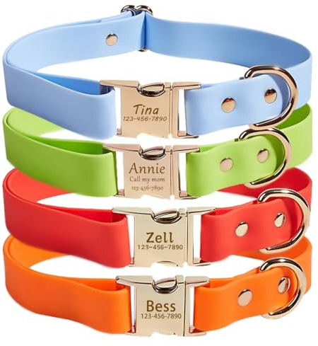 Collier imperméable personnalisé pour Chien, Collier Ajustable pour Chien avec Noms et numéros de téléphone, Collier en Silicone pour Petits, Moyens et Grands Chiens (Boucle en métal)