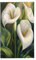 Drapeaux de jardin vintage avec lys calla blancs, bannière de vœux de saison de 90 x 150 cm avec œillets, décorations de fête intérieures et extérieures pour la maison