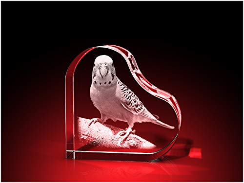 GLASFOTO.COM personalisiertes Glasfoto in Herzform mit Ihrem eigenen Bild – Kristallglas mit Innengravur als anpassbares Geschenk 58 x 58 x 30 mm