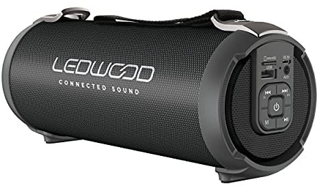 Ledwood ACCESS100 - Enceinte Bluetooth TWS Portable avec Sangle - Haut-Parleur sans Fil Puissant - AUX - Port USB - Carte MicroSD - Radio FM - Noir