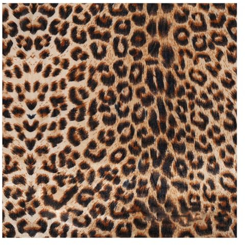 Yurosiay 150x100cm Tierdruck Samtstoff Mode Tiger Zebra Leopard Muster Dekostoff Samt Fellimitat Stoff Samtstoff Meterware Weiche Nähstoffe Samt Einseitiger Bedruckter Stoff zum Nähen Deko 5#