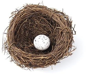 Hrlace künstliches Vogelnest Vogelhäuser Deko-Vogelnest mit Eiern naturgetreues Nest aus Zweigen und Stroh mit Kunsteiern Kunsthandwerk tolle Deko zu Ostern,Frühlingsdekoration 8 cm 1 Vogelei