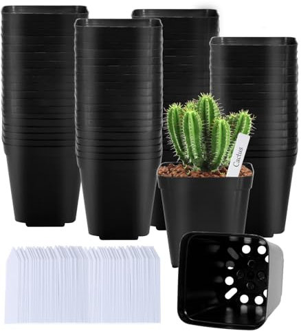JEDWKFA 100 Piezas Macetas para Semillas, Macetero para Plantas de Semillero, Macetas Plastico, Maceta Cuadrada, con 100 Etiquetas para Plantas, para Semillas, Suculentas, Jardines
