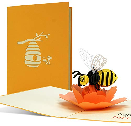 Geburtstagskarte HappBEE Birthday, witzig, fröhlich | Pop up Karte Geburtstag mit 3D Biene auf Blume | Glückwunschkarte oder Gutschein zum Geburtstag, G27