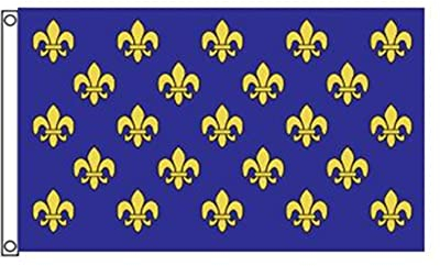 Stormflag Bandiera Royal Francaisl 90 x 150 cm fiore di giglio blu e oro Bandiera in poliestere pongee 90 g con occhielli e doppia cucitura