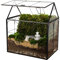 REDHUGO Handgefertigtes großes Glaspflanzen-Terrarium mit Deckel, geometrisches Pflanzgefäß aus Glas, Terrarium für Sukkulenten und Luftpflanzen, für Zuhause, Garten, Büro, Dekoration,