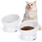Nobleza - 2 Stück Katzennapf， Keramik Futternapf Katze mit 15°Neigung Design， Anti-Erbrechen Katzennäpfe， Katzenfutternapf für Futter und Wasser， perfekt für Katzen und kleine Hunde，Weiß