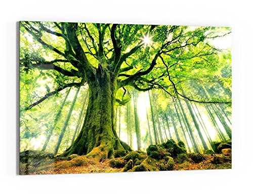 DEQORI Glasbild Echtglas | Motiv Eindrucksvoller Baum | horizontal einteilig 90x60 cm | schöne Dekoration | Wandbild für Wohnzimmer, Schlafzimmer, Flur & Küche | moderne Wanddeko