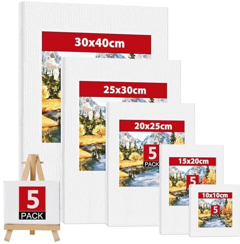 Toile Peinture, Lot de 5 Toile a Peindre 100% Coton, Toiles 30x40, 25x30, 20x25, 15x20, 10x10 cm, Tableau Peinture pour Artistes Amateurs de Peinture à L'huile et Acrylique, Débutants