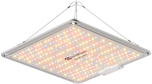 Hon&Guan Grow Lampe LED 100W, Vollspektrum Pflanzenlampe mit LM301H EVO, 6500K Wachstumslicht, Dimmbar Wachstumslampe, Zimmerpflanzen Grow Light für Growzelte Growtent Growzelt 60x60cm 40x40cm