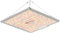 Hon&Guan Grow Lampe LED 100W, Vollspektrum Pflanzenlampe mit LM301H EVO, 6500K Wachstumslicht, Dimmbar Wachstumslampe, Zimmerpflanzen Grow Light für Growzelte Growtent Growzelt 60x60cm 40x40cm