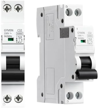 YIVELYYZG Mini disjoncteur monophasé 1P+N DPN 6A 10A 16A 20A 25A 32A 40A 220V AC, Courbe B, C, 1 pièce(C Curve-6A)