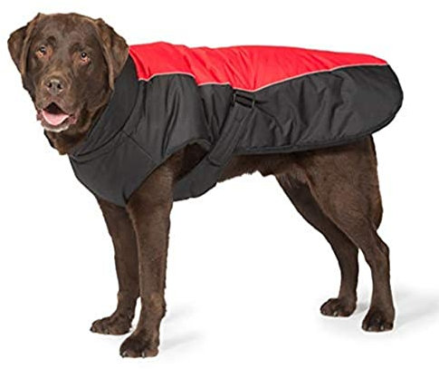 Danish Design Red Sports Hundemantel für Hunde, maschinenwaschbar, Verstellbarer Verschluss, leicht, reflektierend, Luxus, 25 cm