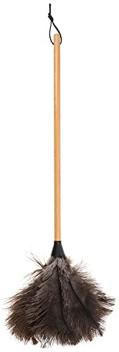 HEMOTON 1stück Ostrich Staubwedel Mit Buchenholzgriff Teleskop Reinigungswerkzeug Für Staubentfernung Hohen Bereichen Für Zuhause Büro Auto Kratzfrei Und Langlebig
