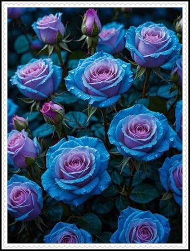 Tuberi di rose, aroma affascinante, profumate, resistenti all'inverno, perenni, rizoma di rosa, grazia, decorazione da giardino, rose resistenti all'inverno