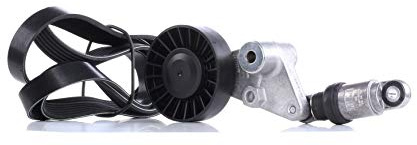 INA 529 0202 10 Keilrippenriemensatz 1880mm 6-Rippenanzahl Kompatibel mit OPEL Vectra C Caravan Z02 09180809 1340530 1340545