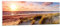 Panorama Bilder auf Glas Meer Strand Düne Glasbild 140x50cm Wandbilder Dekoration Wohnzimmer Schlafzimmer Küche Groß XXL Wanddeko Bild im Glas Wand Kunstdruck Art Modern Wall Decor GAB140x50-3540