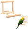 Gehanico Papageienspiegel Vogelständer Sitzstange mit Spiegel Holzspiegel mit Landeplatz Vogelspielzeug für Graupapageien Sittiche Nymphensittiche